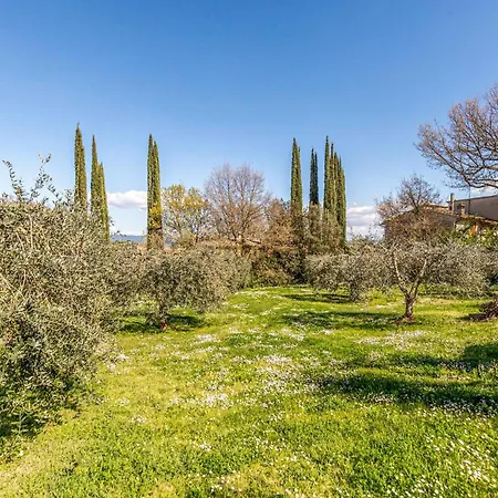 Ilaria Vasciano Nuovo