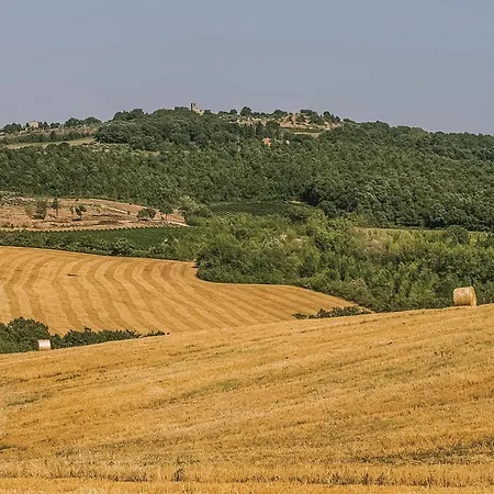 Ilaria *