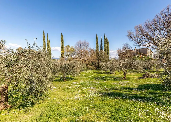 Ilaria Vasciano Nuovo